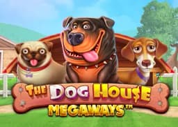 newzzhub: The Dog House Megaways